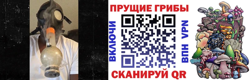где купить наркоту  Тбилисская  Галлюциногенные грибы ЛСД 
